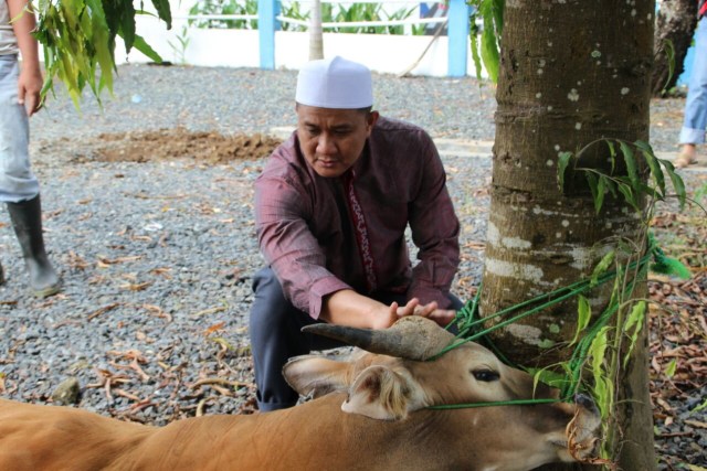 Qurban Polres HSS