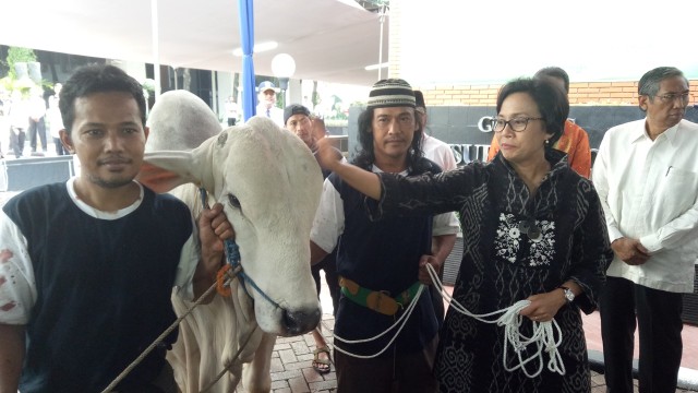 Sri Mulyani Berkurban (Foto: Nicha Muslimawati/kumparan)