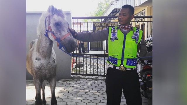 Kuda yang ditangkap Polres Grobogan (Foto: Instagram @satlantasgrobogan)