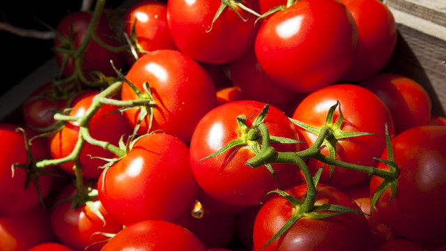 Tomat (Foto: Thinkstock)