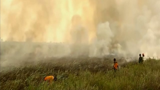 Proses pemadaman hutan jalur darat. (Foto: Ridho Robby/kumparan)