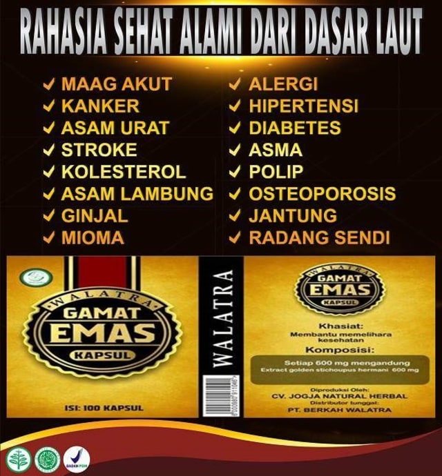 Dapatkan Kesehatan Menyeluruh dengan Walatra Gamat Emas Kapsul ASLI BERKHASIAT
