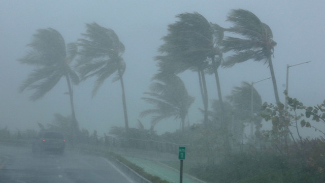 Ilustrasi angin kencang Foto: REUTERS/Alvin Baez