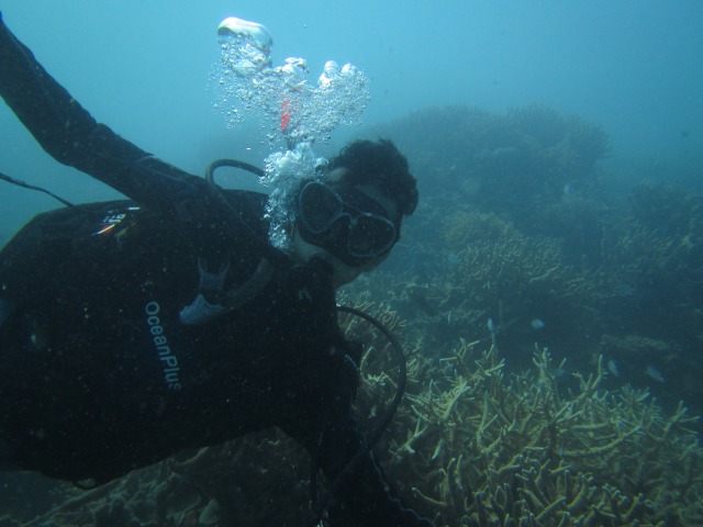 5 Cara Wajib Nikmati Pesona Laut di Karimunjawa, Nomor 4 Benar Juga! (2)