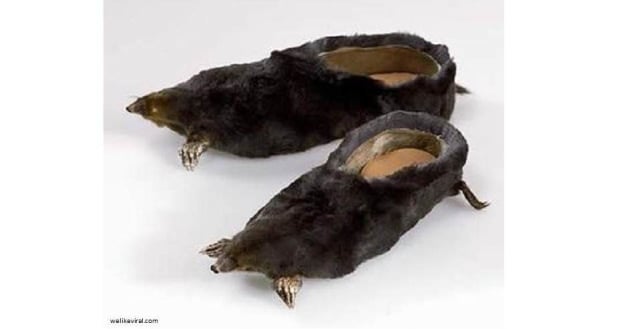 13 Sepatu Paling Unik di Dunia (10)