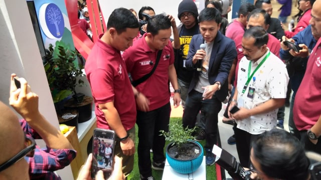 Startup Habibi Garden di The NextDev 2017 Bandung. (Foto: Muhammad Fikrie/kumparan)
