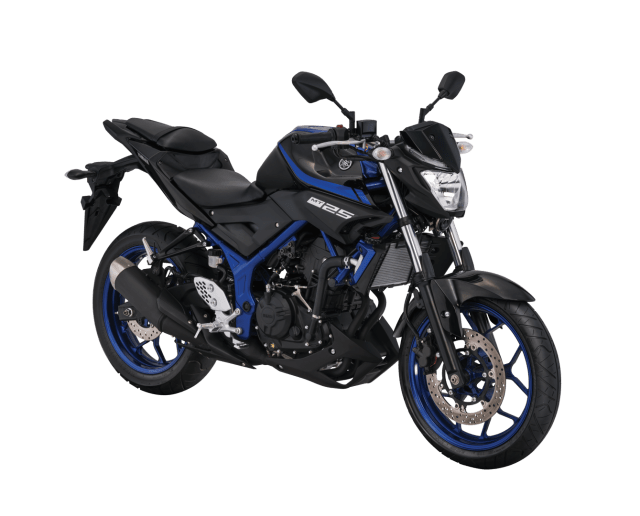 Yamaha MT-25 (Foto: Yamaha Indonesia)