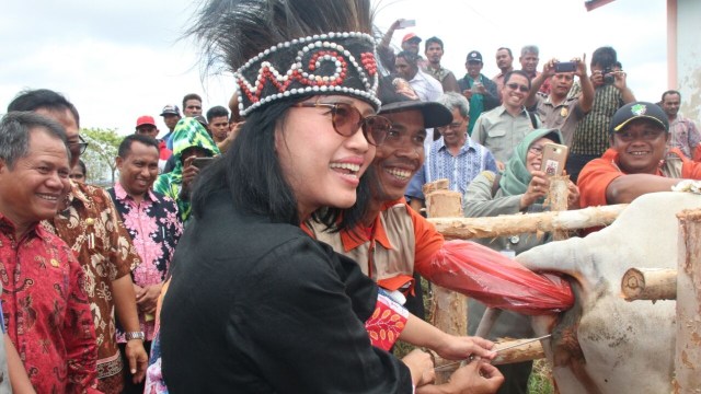 Dirjen PKH di Papua (Foto: Dok. Kementan)