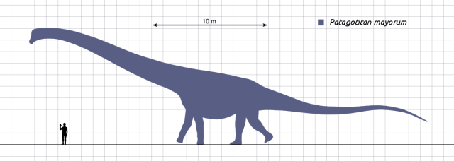 Dinosaurus Terbesar Yang Pernah Ditemukan