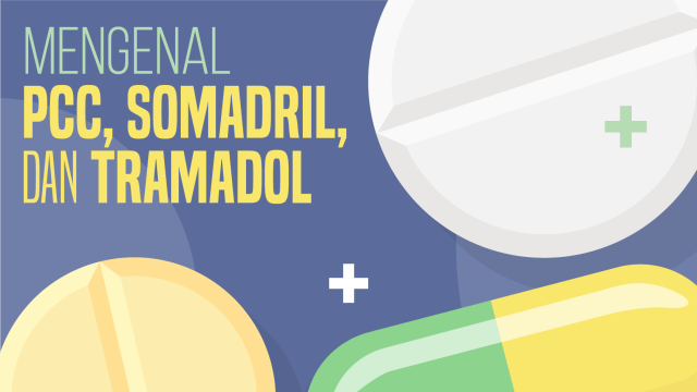 Infografis Mengenal PCC, Somadril, dan Tramadol (Foto: Ridho Robby/kumparan)