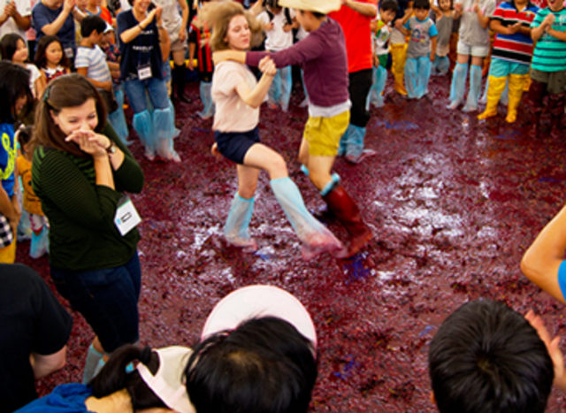 Surga Para Pecinta Buah Anggur: Yeongdong Grape Festival (1)