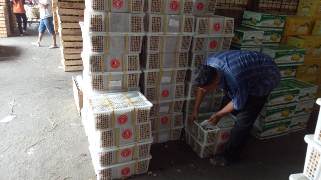Aktivitas jual beli lengkeng di Pasar Kramat Jati (Foto: Resya Firmansyah/kumparan)