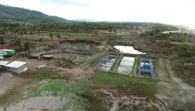 Lentera Bumi Nusantara (Foto: Lentera Bumi Nusantara)