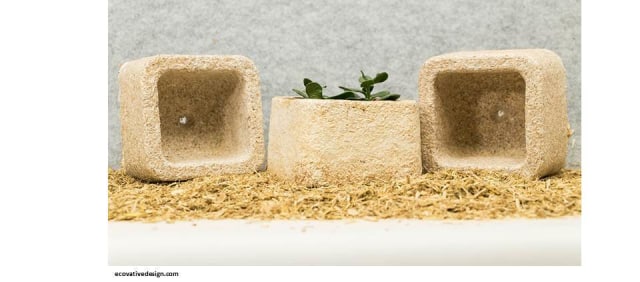 Furniture dan Batako dari Bahan Miselium Jamur Serta Bakteri (5)