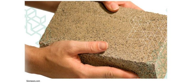 Furniture dan Batako dari Bahan Miselium Jamur Serta Bakteri (7)