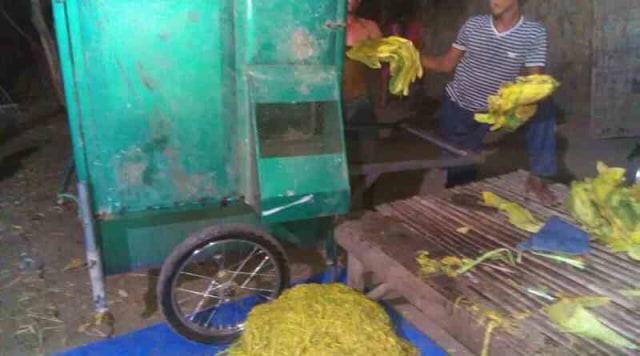 Mesin Rajang Ini Mampu Tingkatkan Mutu Tembakau