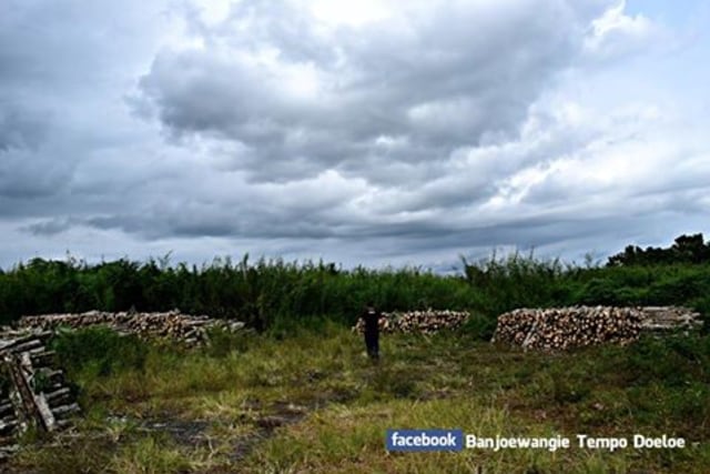 LAPANGAN TERBANG GLENMORE BANYUWANGI RIWAYATMU KINI.