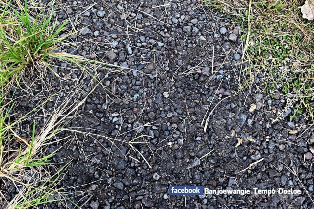 LAPANGAN TERBANG GLENMORE BANYUWANGI RIWAYATMU KINI. (1)