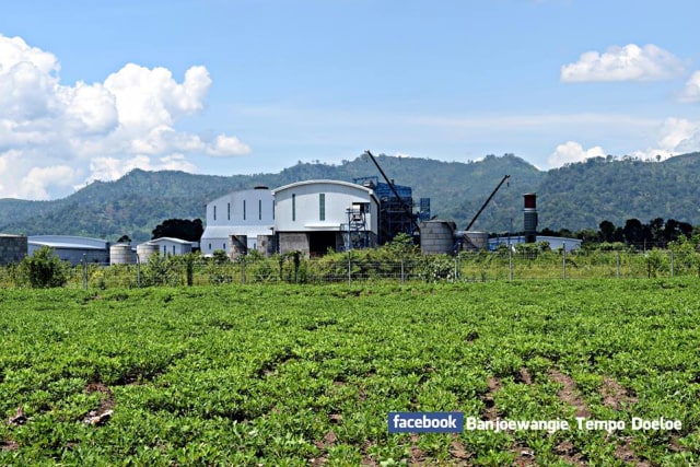 LAPANGAN TERBANG GLENMORE BANYUWANGI RIWAYATMU KINI. (2)
