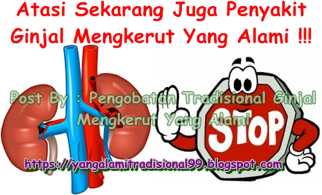 Pengobatan Tradisional Ginjal Mengkerut Yang Alami