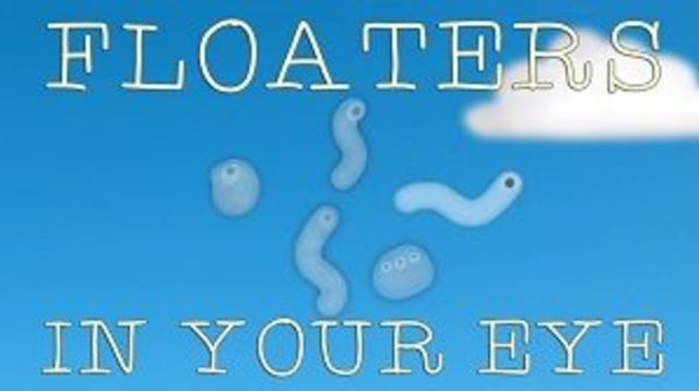 Penyakit Mata Floaters