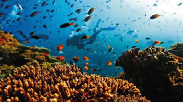 Paket Tour Wisata Halal Australia Terpercaya (2)