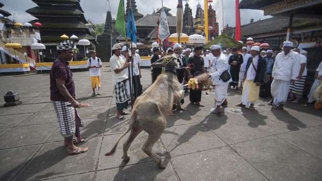 Upacara Purnama Kapat Pura Besakih (Foto: Antara/Nyoman Budhiana)
