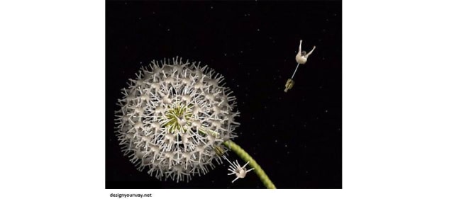 10 Seni Fotografi  Bunga yang Pasti Kamu Suka, Tebak Bagaimana  Cara Buatnya?