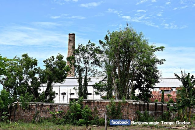 PABRIK GULA KETIGA YANG BERDIRI TAHUN 1895 DI BANYUWANGI (1)