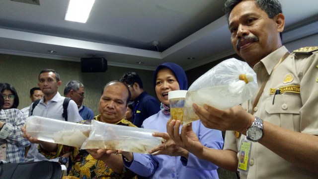 Bukti penangkapan benih lobster. (Foto: Ela Nurlaela/kumparan)