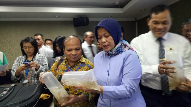 Bukti penangkapan benih lobster. (Foto: Ela Nurlaela/kumparan)