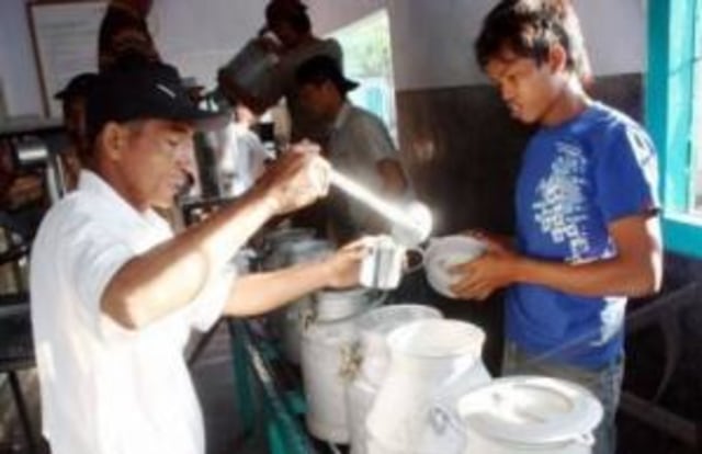 Mulai operasikan peternakan baru, Greenfields siap gandakan produksi susu