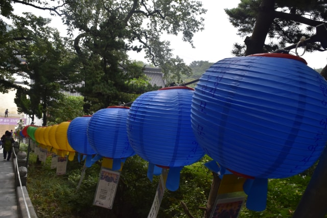 lampion