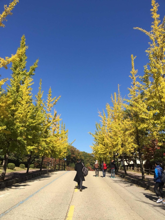 Melangkah menuju Biru Langit