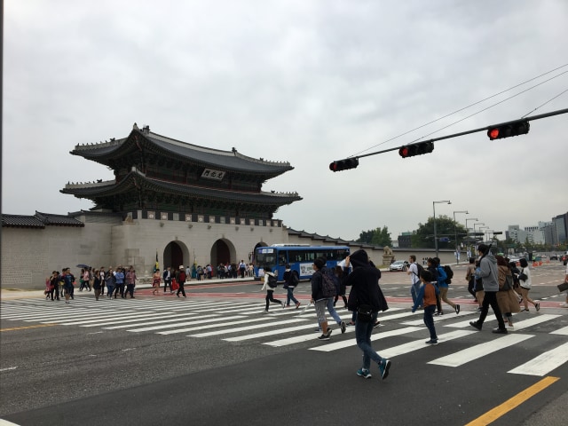Zebra Cross (1)