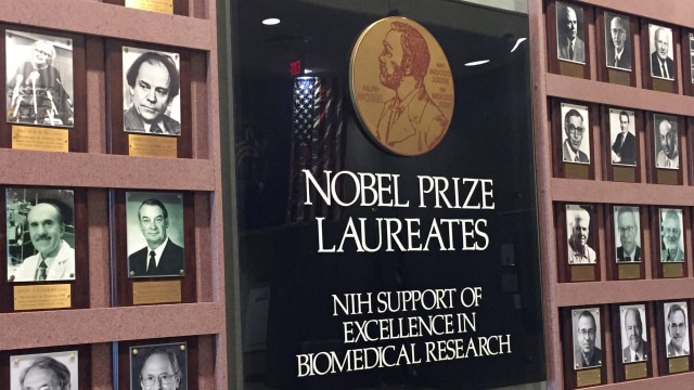 Penerima penghargaan Nobel. (Foto: Wikimedia Commons)