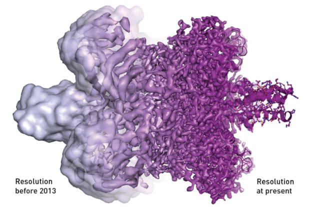 Gambar virus Zika sesudah dan sebelum  (Foto: Dok. Royal Swedish Academy of Sciences)