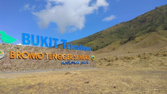 Bukit Teletubbies di Bromo (Foto: Dok. Masyarakat Fotografi Indonesia)