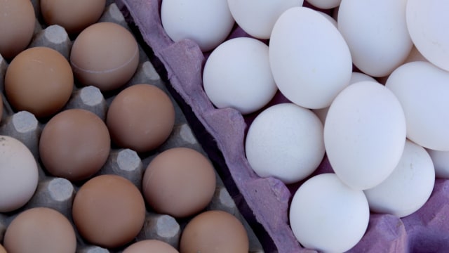 Kualitas telur bercangkang putih dan cokelat (Foto: Thinkstock)