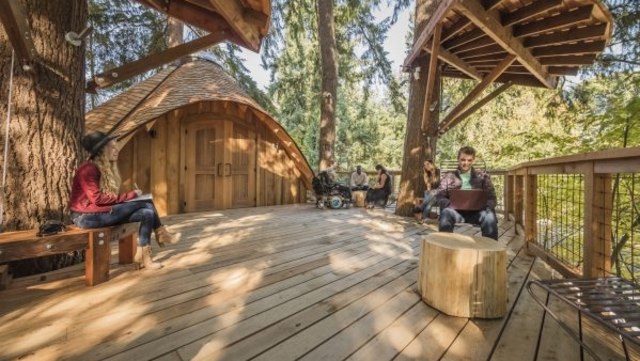 Rumah Pohon Microsoft. (Foto: Microsoft)