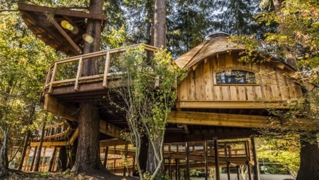 Rumah Pohon Microsoft. (Foto: Microsoft)