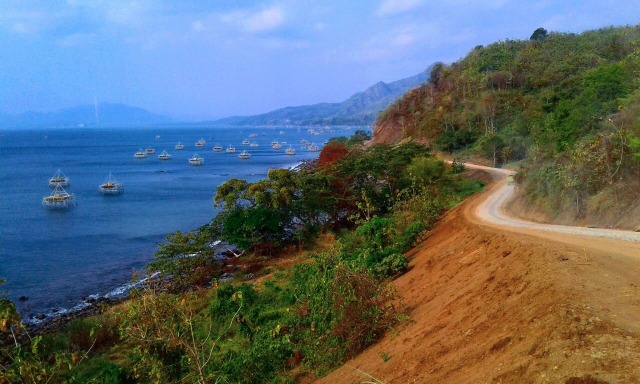  Ada Penampakan Ikan Lumba-lumba di Teluk Palabuhanratu Sukabumi (1)