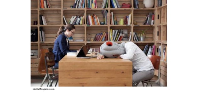 Susah Tidur? Mungkin 5 Bantal ini Bisa Membantu (4)