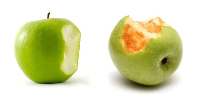 Ilustrasi apel berubah kecokelatan. (Foto: Dok. www.arcticapples.com)