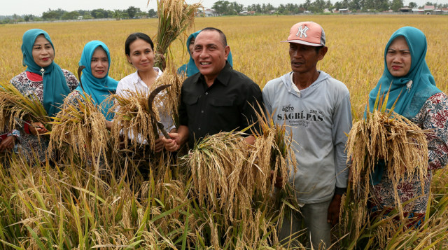 Edy Rahmayadi Soroti Pentingnya Pembangunan Desa Sebagai Solusi Atasi Kemiskinan Di Sumut