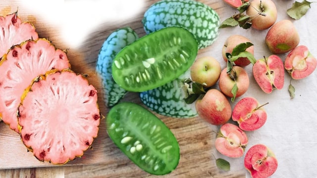 Buah-buahan hasil rekayasa genetika. (Foto: Berbagai sumber)