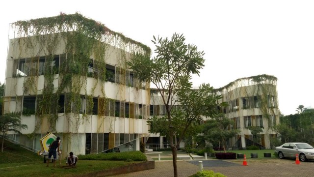 DPD I Golkar (Foto: Lolita/kumparan)