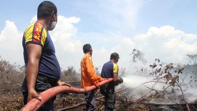 Pemadaman Kebakaran Hutan dan Lahan di Aceh. (Foto: Syifa Yulinnas/Antara)