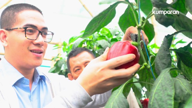 Ecofarming AQUA (Foto: Ridho Robby/kumparan)