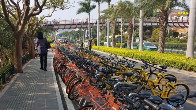 Sharing bike di Xiamen (Foto: Arifin Asydhad/kumparan)
